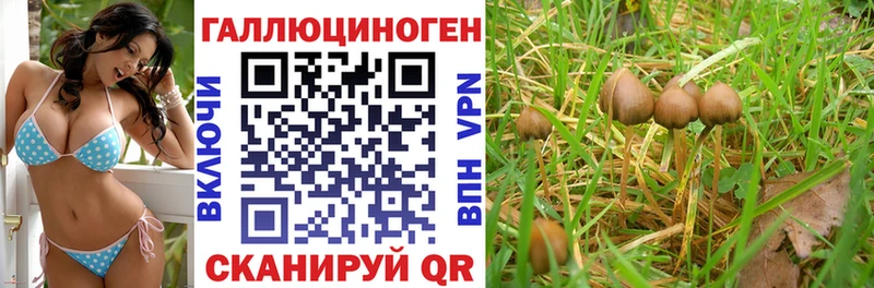 Купить закладки  Великий Устюг  Псилоцибиновые грибы Psilocybe 